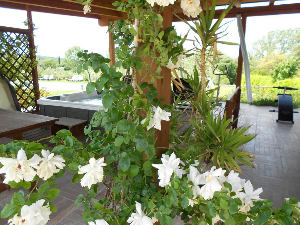 Poggio Degli Olivi Guest House Сатурния Екстериор снимка