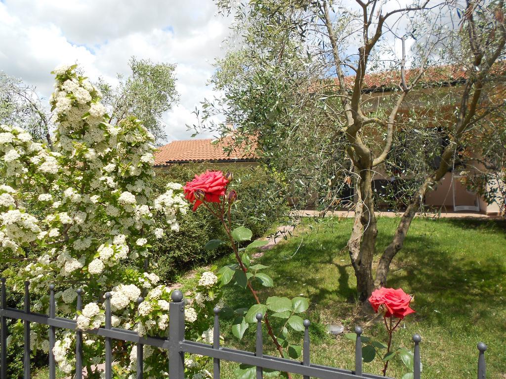 Poggio Degli Olivi Guest House Сатурния Екстериор снимка