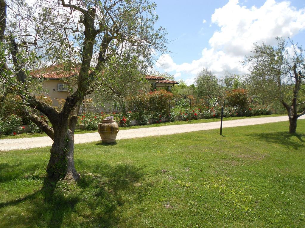 Poggio Degli Olivi Guest House Сатурния Екстериор снимка