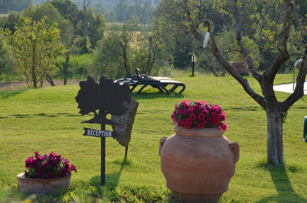 Poggio Degli Olivi Guest House Сатурния Екстериор снимка
