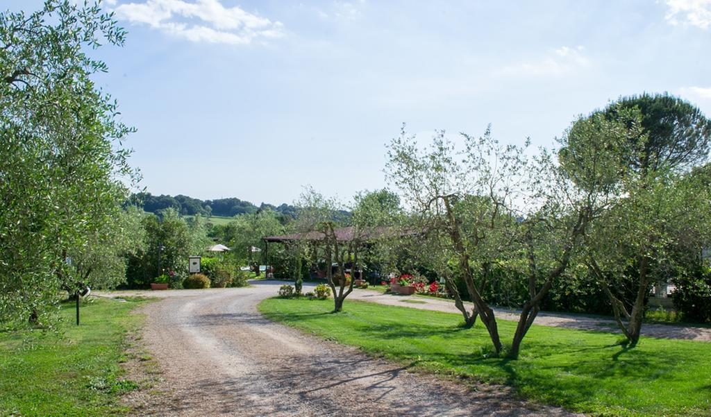 Poggio Degli Olivi Guest House Сатурния Екстериор снимка