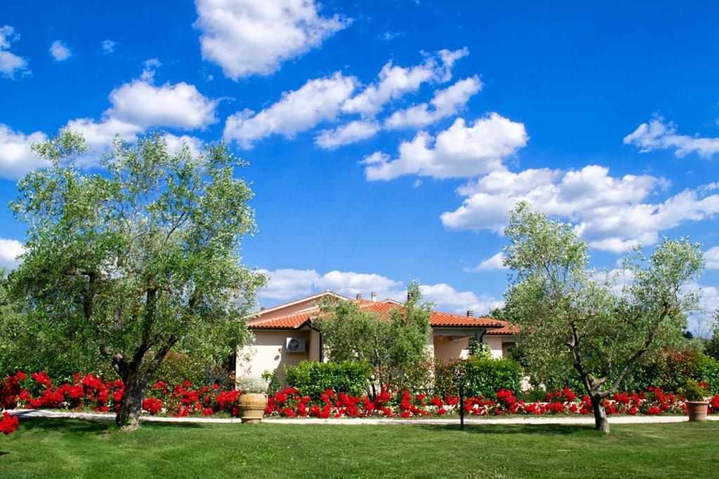 Poggio Degli Olivi Guest House Сатурния Екстериор снимка