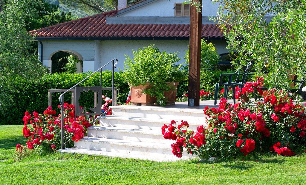 Poggio Degli Olivi Guest House Сатурния Екстериор снимка